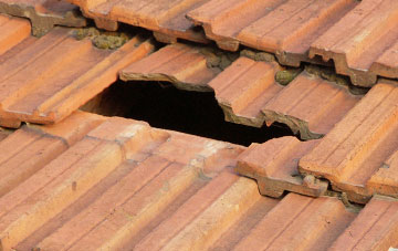 roof repair Cotteylands, Devon