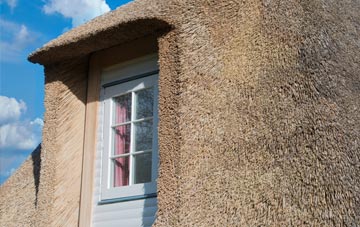 Cotteylands thatch roof disadvantages